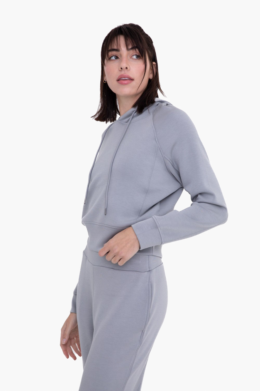 Elevated Cropped Hoodie Pullover