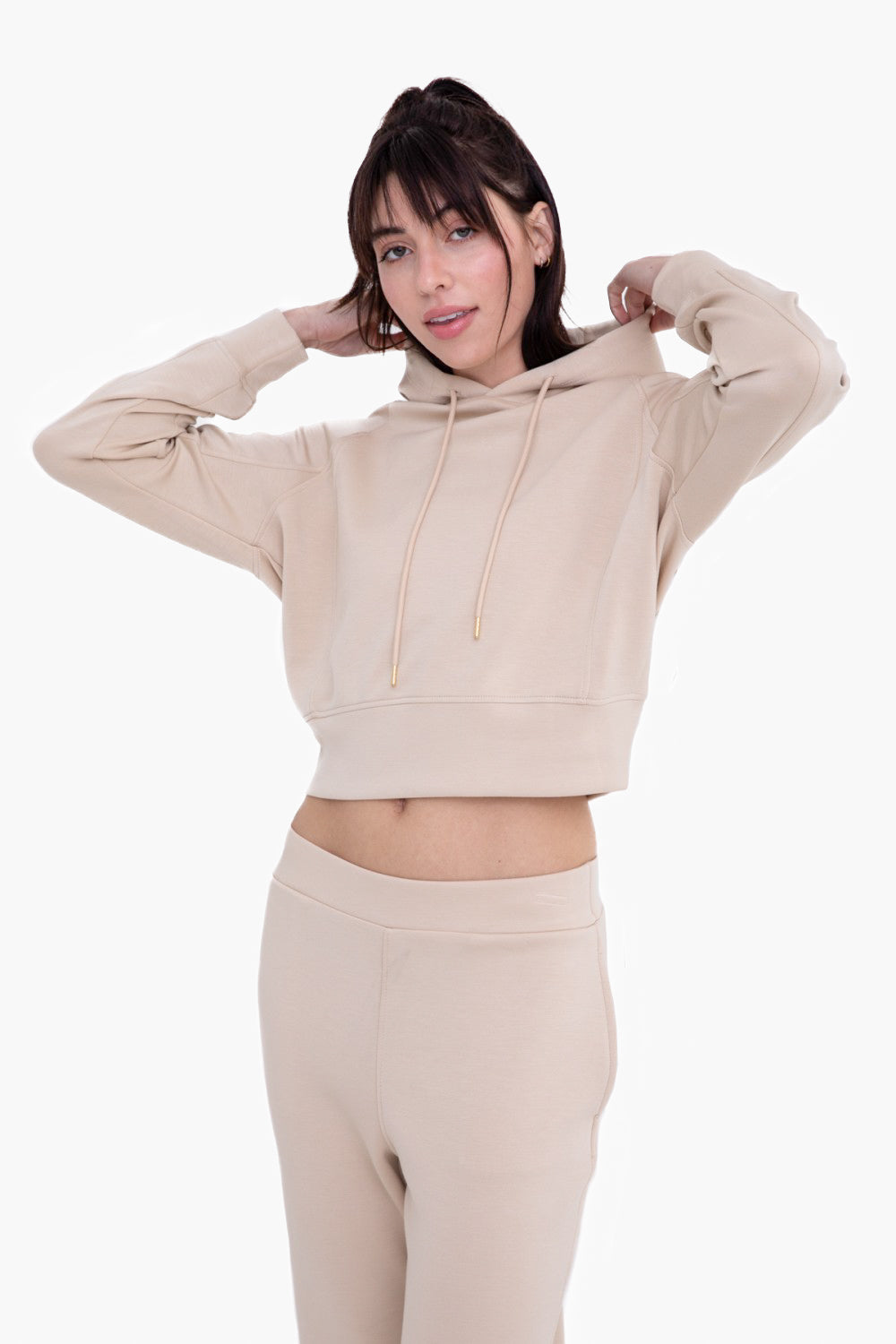 Elevated Cropped Hoodie Pullover